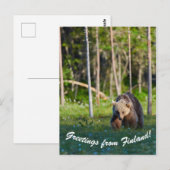 Salutations de la carte postale finlandaise (Devant / Derrière)