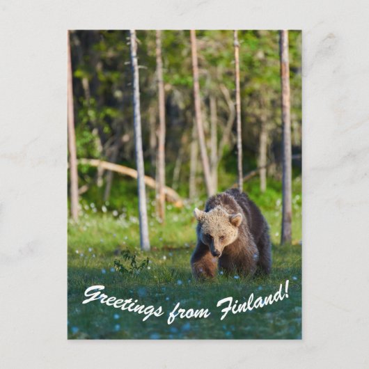Salutations de la carte postale finlandaise (Devant)