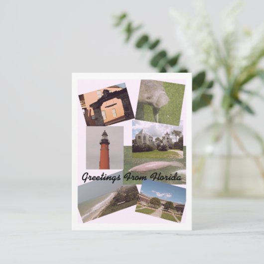 Salutations de la carte postale Floride (Debout devant)