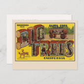 Salutations de la carte postale grand format de Sa (Devant / Derrière)