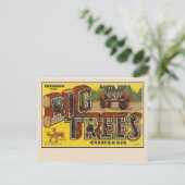 Salutations de la carte postale grand format de Sa (Debout devant)