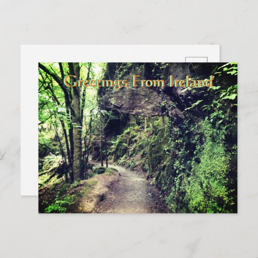Salutations de la carte postale irlandaise (Devant / Derrière)
