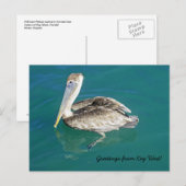 Salutations de la carte postale Key West (Devant / Derrière)