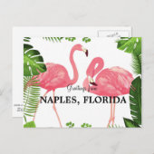 Salutations de Naples, Floride Carte postale (Devant / Derrière)