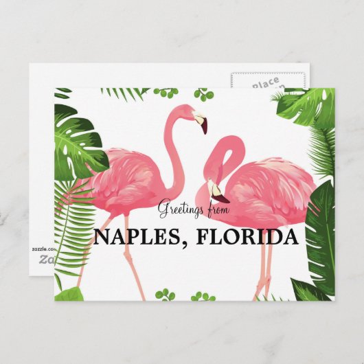 Salutations de Naples, Floride Carte postale (Devant / Derrière)