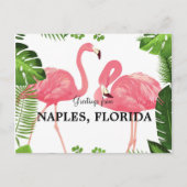 Salutations de Naples, Floride Carte postale (Devant)