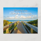 Salutations de Naples Floride Carte postale de pla (Devant)