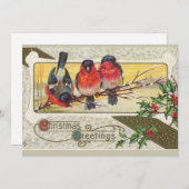 Salutations de Noël - Carte de vacances aux oiseau (Devant / Derrière)