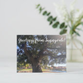 Salutations de Sunnyvale ! Carte postale (Debout devant)