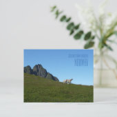 Salutations du magnifique carte photo norvégien (Debout devant)