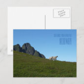 Salutations du magnifique carte photo norvégien (Devant / Derrière)