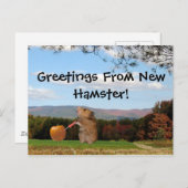 Salutations Du New Hamster ! Carte postale (Devant / Derrière)