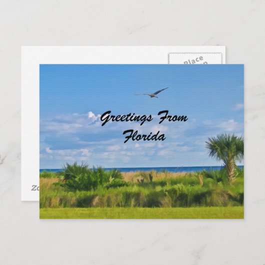 Salutations, Floride, Carte postale (Devant / Derrière)