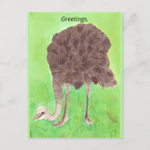 Salutations, Votre Texte, Cartes Postales Ostrich