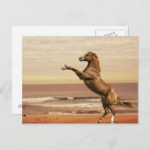 Saluut naar de ochtend briefkaart (Voorkant / Achterkant)