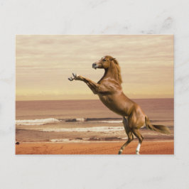 Saluut naar de ochtend briefkaart