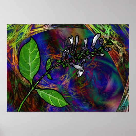 Salvia Divinorum Poster (Voorkant)