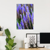 Salvia Poster (Thuiskantoor)