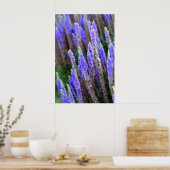 Salvia Poster (Keuken)