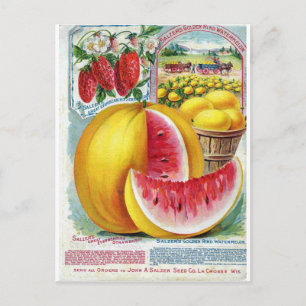 Salzer Watermelons Briefkaart