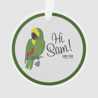 Sam, ik kan de versiering van de Stichting regelen Ornament
