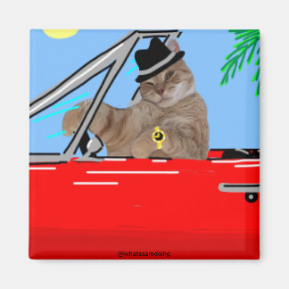 Sam Le Cat Baller Cat Magnet Magneet