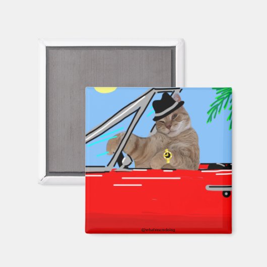 Sam Le Cat Baller Magnet de chat (Recto/Verso)