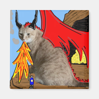 Sam Le Cat Dragon Magnet Magneet