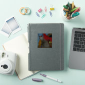 Sam Le Cat Dragon Vinyl Sticker (iPad Cover)