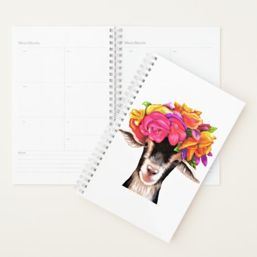 Sam Planner Posey de Geit (Display)