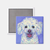 "SAM" - Poedel Mix Magnet Magneet (Voorkant / Achterkant)