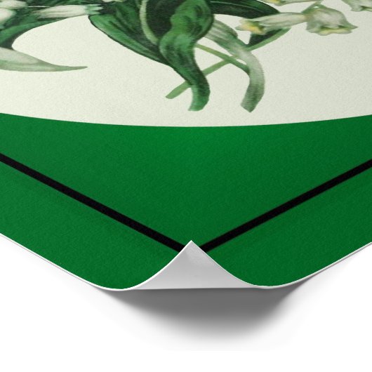 Samantha Lily 1 Poster (Hoek)