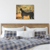 Samburu Cheetah Canvas Afdruk (Insitu (Slaapkamer))