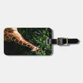 Samburu-giraffe Bagagelabel (Voorkant horizontaal)