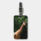 Samburu-giraffe Bagagelabel (Voorkant verticaal)