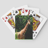Samburu Giraffe Speelkaarten (Achterkant)