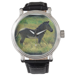 Samburu Zebra Horloge