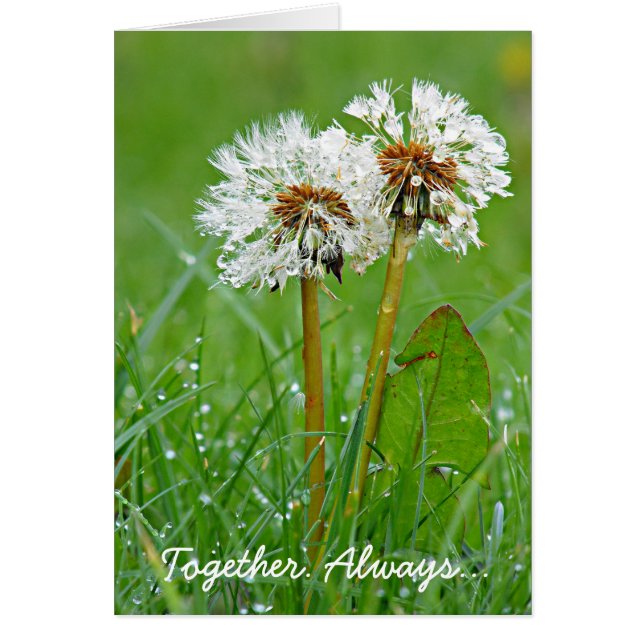 Samen. Altijd... (Voorkant)