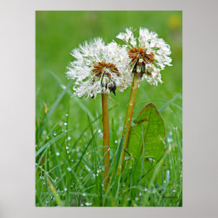 Samen. Altijd Poster