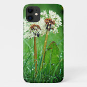 Samen. Altijd twee andelions met regendruppels Case-Mate iPhone Case (Achterkant)