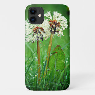 Samen. Altijd twee andelions met regendruppels iPhone 11 Hoesje