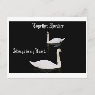 Samen Forever Swans. Briefkaart