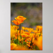 Samen Poster (Voorkant)