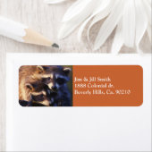 Samen voor altijd wasberen etiket (Insitu)