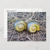 Samen Warm Briefkaart (Voorkant / Achterkant)