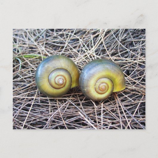 Samen Warm Briefkaart (Voorkant)