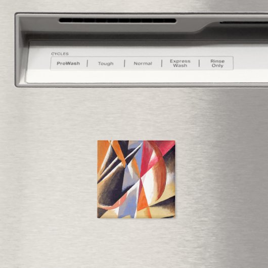 Samenstelling Magneet (Insitu (Vaatwasser))