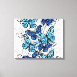 Samenstelling van witte en blauwe vlinders canvas afdruk