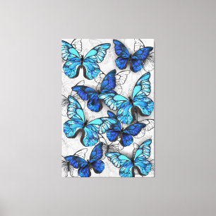 Samenstelling van witte en blauwe vlinders canvas afdruk