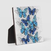 Samenstelling van witte en blauwe vlinders fotoplaat (Voorkant)